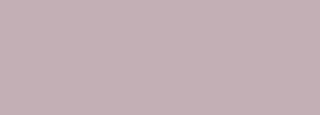 #c3afb5 Color Information