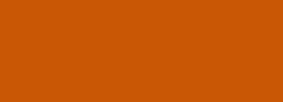 #c95705 Color Information
