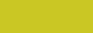 #c9c521 Color Information