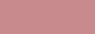 #ca8b8e Color Information