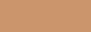 #cb956c Color Information