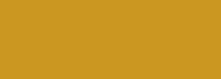 #cb9721 Color Information