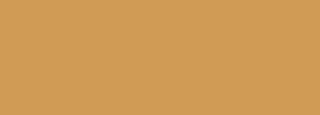 #d09b55 Color Information
