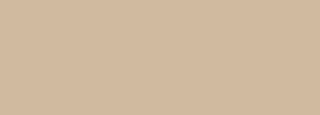 #d0ba9f Color Information