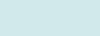 #d0e8ea Color Information