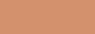 #d3916d Color Information