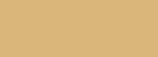 #d9b57b Color Information