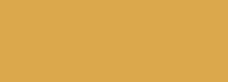 #dbaa4e Color Information