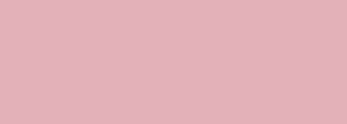 #e3b1b8 Color Information