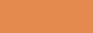 #e58a4f Color Information