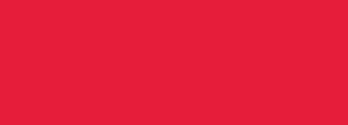#e61d3a Color Information