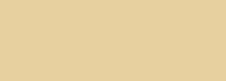 #e7d09f Color Information