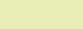 #e8eeb5 Color Information