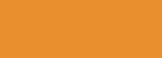 #e98f2d Color Information