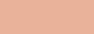 #e9b29a Color Information