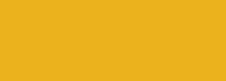 #e9b31b Color Information