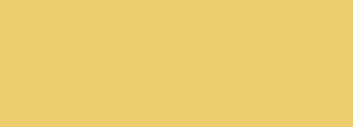 #edcd6c Color Information