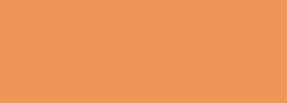 #ee955a Color Information