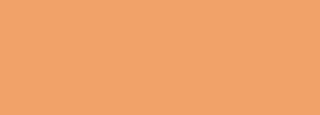 #eea26a Color Information