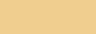 #f0ce8f Color Information