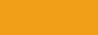 #f19e19 Color Information