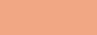#f2a784 Color Information