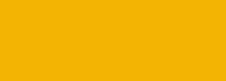#f3b403 Color Information