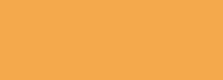 #f4a94d Color Information