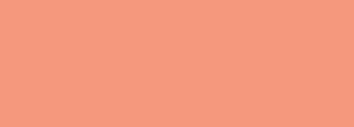 #f5987d Color Information