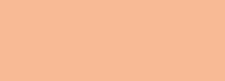 #f7ba94 Color Information