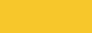 #f7c72b Color Information