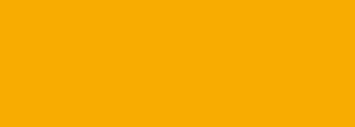 #f8ac02 Color Information