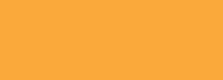 #faa93b Color Information