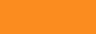 #fb8c1f Color Information