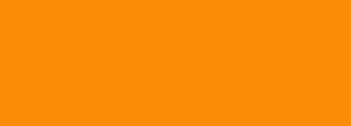 #fb8d06 Color Information