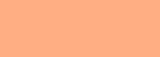#fdae83 Color Information