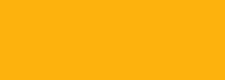 #fdb20d Color Information