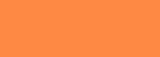 #fe8944 Color Information