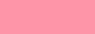 #fe95a8 Color Information