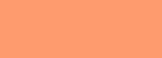 #fe9b6e Color Information