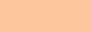 #fec69c Color Information