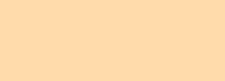 #ffdbab Color Information